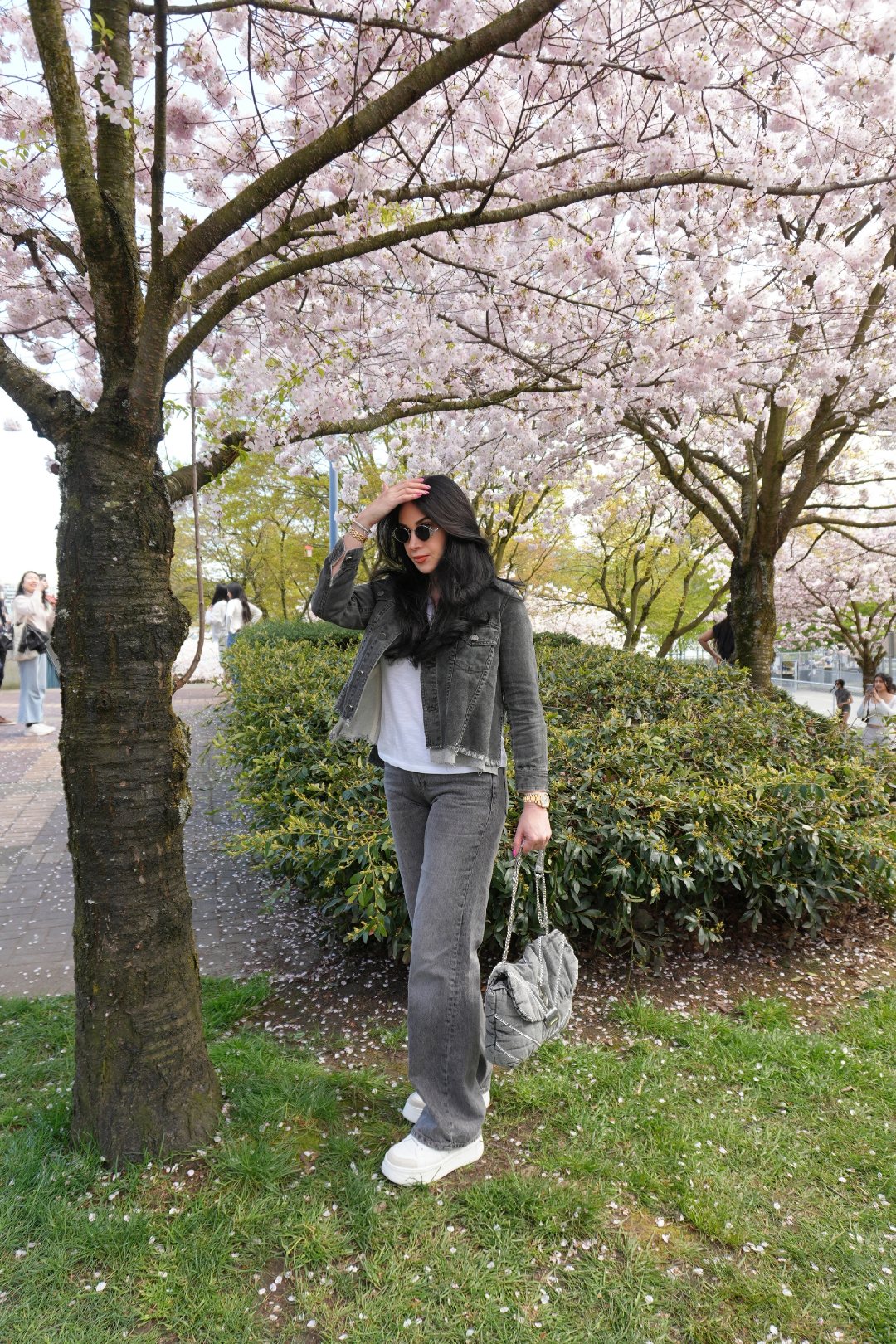 Razani Echo Gray Bag