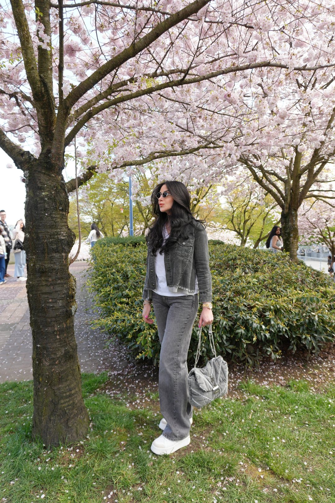 Razani Echo Gray Bag